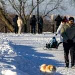 погода звягель