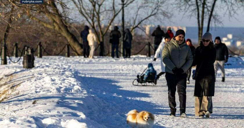 погода звягель